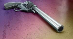 colt-629671_1280